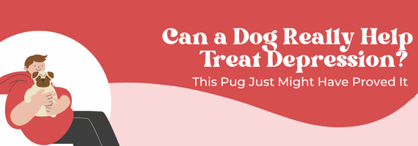 dogs for depression support