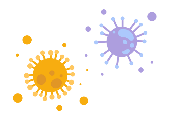 A COVID-19 virus and another coronavirus.