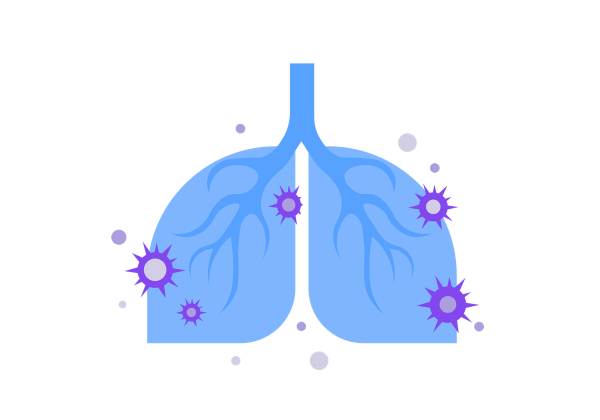 Lungs with production of antibodies.