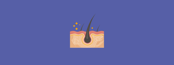 telogen effluvium how long