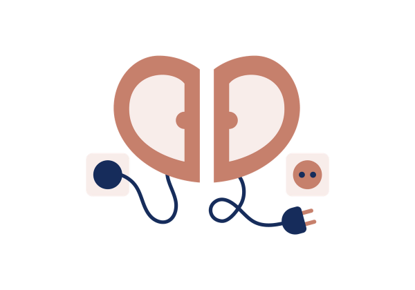 A pair of ears, with one connected to the body system and the other "unplugged".