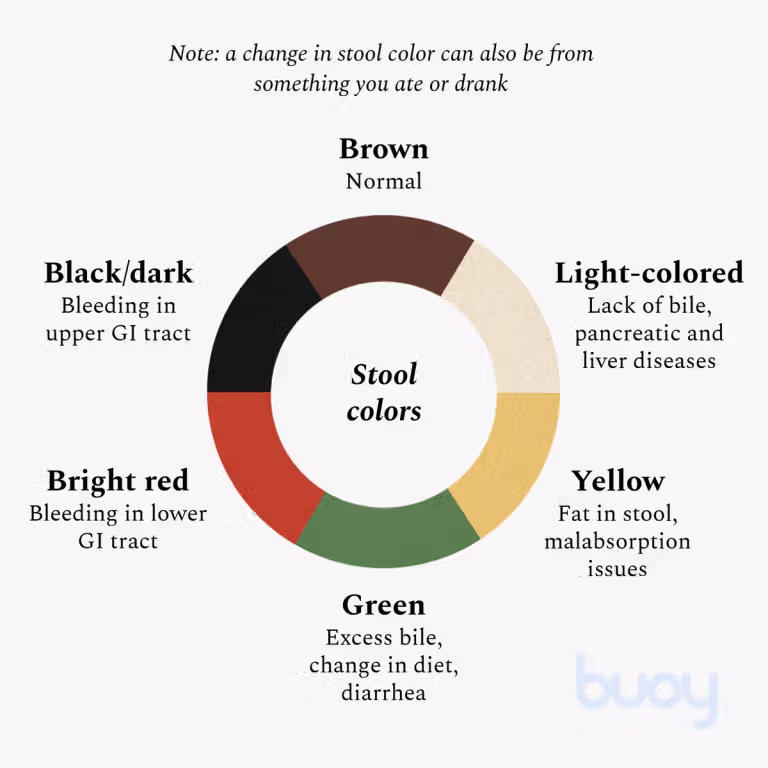 Cores de Fezes | O que as Cores das Fezes Significam & Quando se Preocupar | Cores de Fezes | O que as Cores das Fezes Significam & Quando se Preocupar |