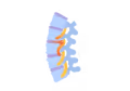 An illustration of the top section of the spine. It's light blue, and it shows pressure and inflammation of the spinal cord.