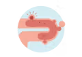 A light blue circle with a pink intestine running through. It enters at the left, goes almost all the way across, and loops back under itself to exit the circle at the bottom left. Inside the tube is a darker pink section with round protrusions that cause the outer tube to bulge. One of the bulges at the top is bright red and has four action lines emanating from it.