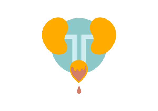 An illustration of two yellow kidneys connected to a yellow bladder with light green tubes. The bladder has red liquid inside, dripping one red drop. The background is a medium green circle.