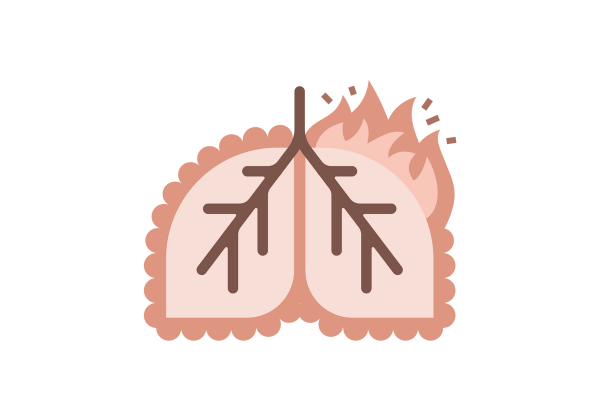 An illustration of a set of light pink lungs. The veins running through each are brown, and each lung is surrounded by uniform dark red lumps. In the upper right corner of the lungs, a flame rises from the lung in two shades of red, and five short line segments come out from the flame.