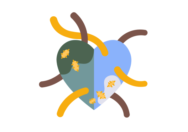 A heart divided into two sections. The left half is light green with a darker green splotch on the top portion. The right half is light blue with a lighter blue patch on the lower right portion. Brown and yellow tubes come out from the heart, and yellow bacteria speckle the whole heart.