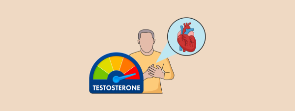 Testosterone Levels Tied to Mortality and Cardiovascular Risk in Men