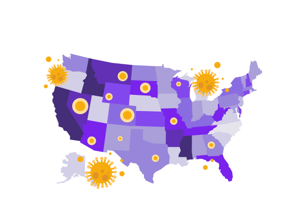 An illustration of a map of the United States in varying shades of purple. Yellow viruses float above the map. Yellow spots of varying sizes show points of concentration.